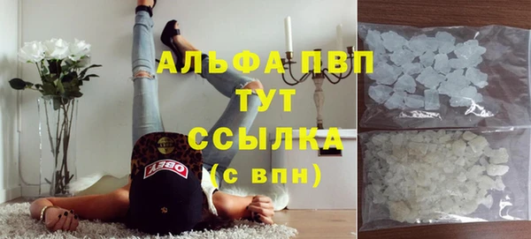 гидра Баксан